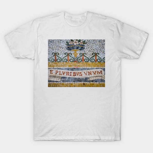 E Pluribus Unum T-Shirt by LibrosBOOKtique